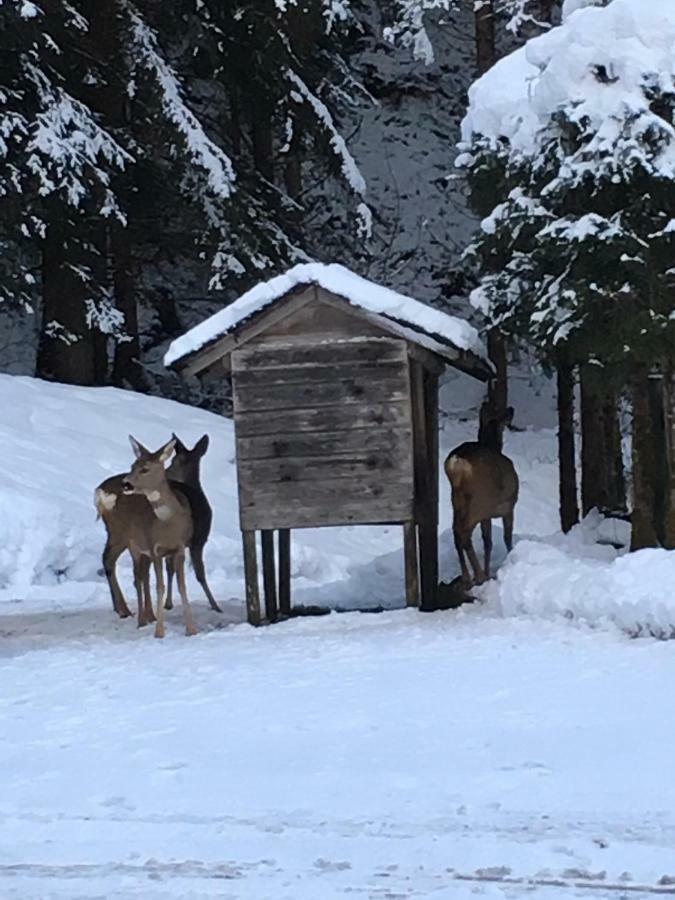 Ferienwohnung Bacher Oberkumbichl 900 Mayrhofen Exterior foto